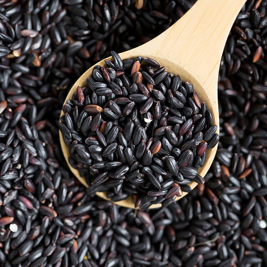 【吉顺号食品】黑米新米黑香米500g/袋*5袋 商品图1