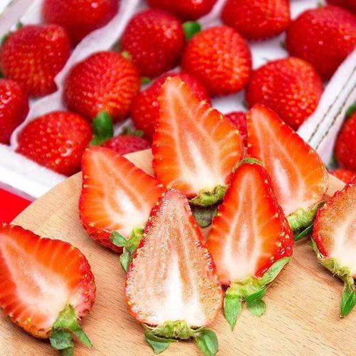 【酸甜口感！新鲜奶油草莓】奶香味浓郁，现摘草莓商用新鲜水果应季水果蛋糕糖葫芦奶茶冷饮整箱包邮-觅食坊 商品图1