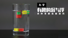 Lv.6 第6节课【有趣的沉与浮】（精选原理作业）