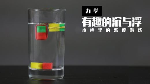 Lv.6 第6节课【有趣的沉与浮】（精选原理作业） 商品图0