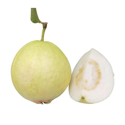 送酸梅粉【冰激凌口感！软心牛奶芭乐】轻咬一口，奶油细腻，送礼自用皆相宜，口感醇厚。源自广东软糯白心芭乐5斤新鲜水果番石榴胭脂红软心奶油巴乐整箱包邮-觅食坊 商品图5