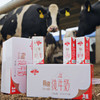 新疆无忧牧场3.6g蛋白纯牛奶 | 活动到手4箱 商品缩略图1