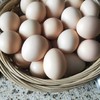 刨刨鸡鸡蛋（竹林大散养蛋） 商品缩略图2