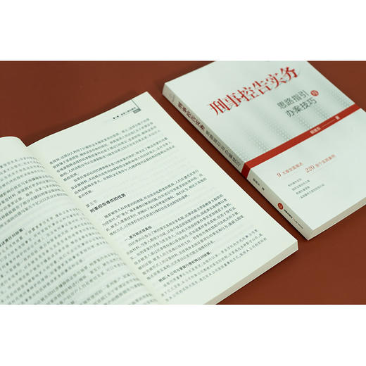 刑事控告实务：思路指引与办案技巧  赖建东著 商品图5