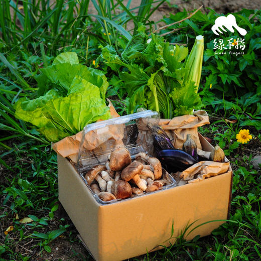 生态菇菜膳食箱（一件包邮） | 绿家自产*Ecological  vegetables | Self-production 商品图0
