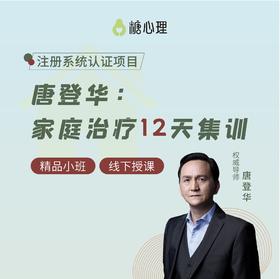 【唐登华】家庭系统治疗12天集训