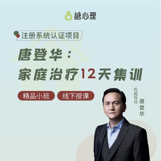 【唐登华】家庭系统治疗12天集训 商品图0
