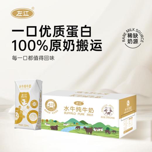 左江水牛纯牛奶210ml*10成人儿童孕妇学生营养早餐奶广西 商品图2