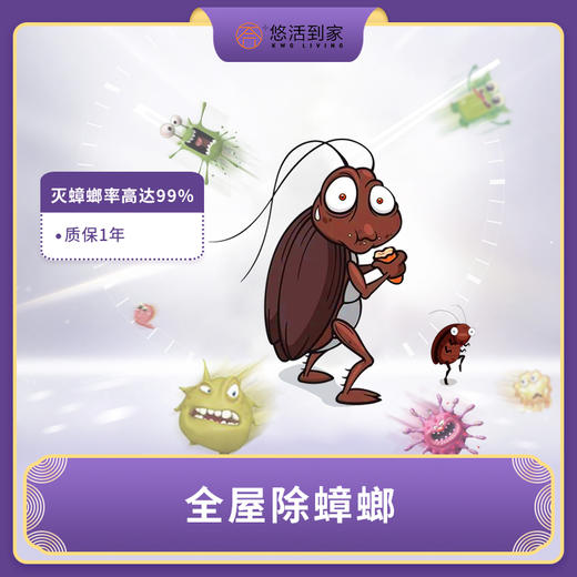 【质保一年】全屋除蟑螂套餐强力除蟑螂（仅限广州，不含从化） 商品图0
