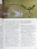 【中商原版】世界蜥蜴 蜥蜴百科图鉴指南 图文详解 Lizards of the World 英文原版 蜥蜴科普 Mark O Shea 商品缩略图7