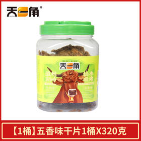 320g天一角温州湖岭松木碳烤牛肉干(五香味)