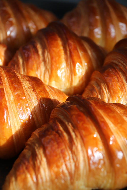 经典可颂 商品图1