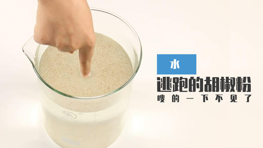 Lv.16 第4节课【逃跑的胡椒粉】（精选原理作业） 商品图0