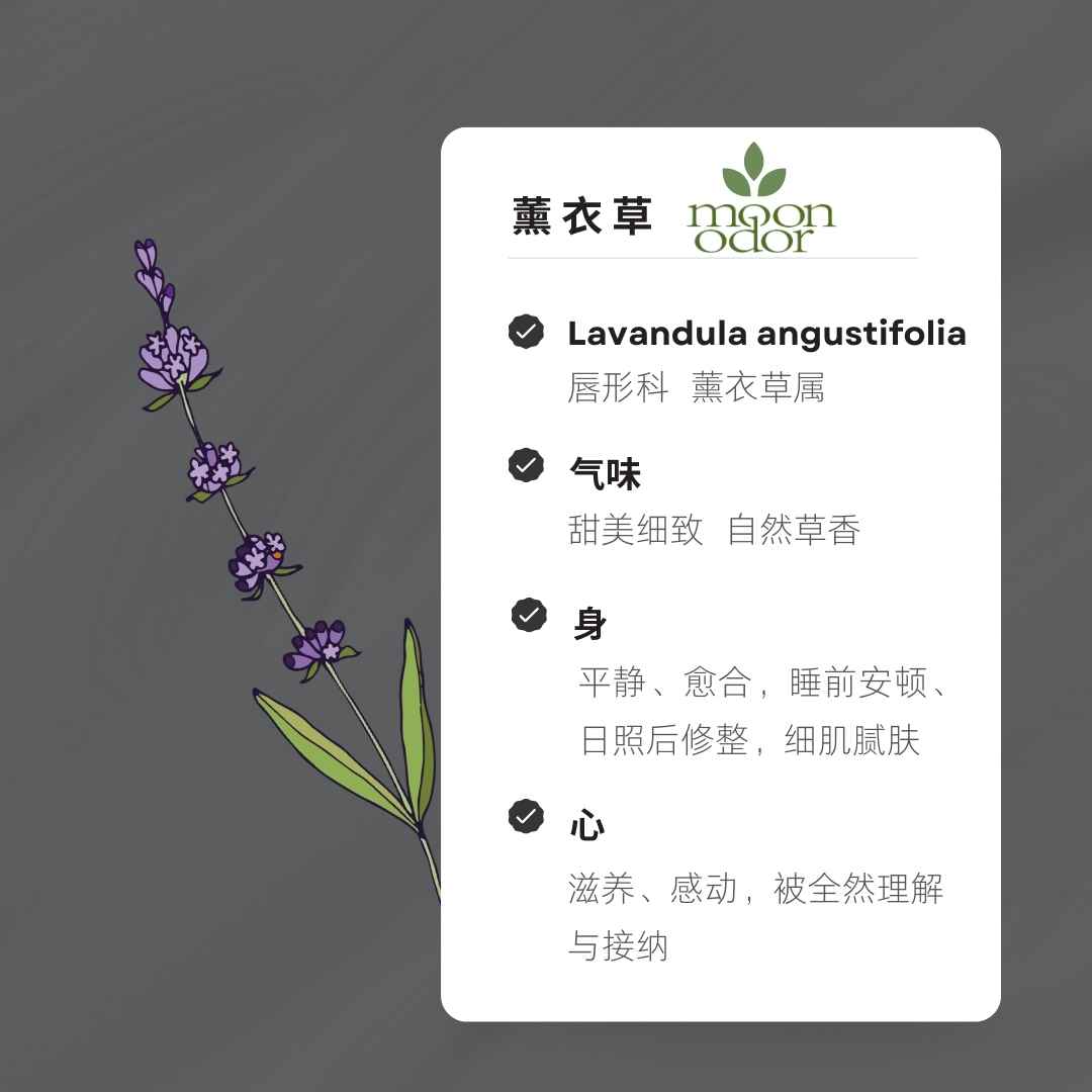 03  有机真正薰衣草精油【香气003】