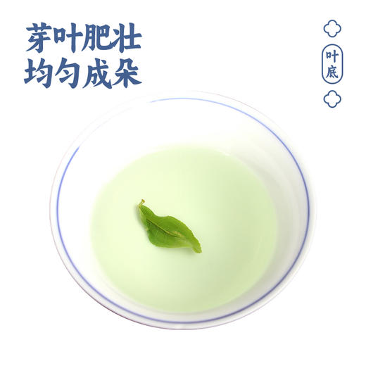 徽汇 黄山毛峰特级绿茶（古法手揉）100g/200g茶叶 新老包装随机发货 汤色黄绿明亮 口感醇厚回甘 48小时发货 商品图2
