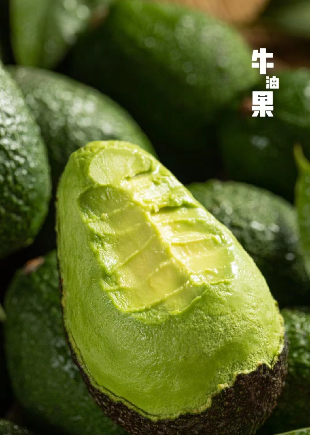 深耕合成生物学梅花生物全域智能制造体系落地见效(图1)