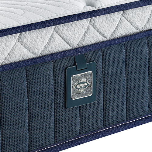 顾家家居整装 床垫 M9319沁透之星 商品图2