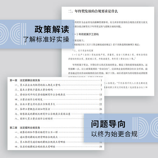 企业薪税合规实务手册 合规管理实战工具书 薪税合规实操知识点详解 薪税合规案例分享 薪税合规政策指引及规范 商品图3