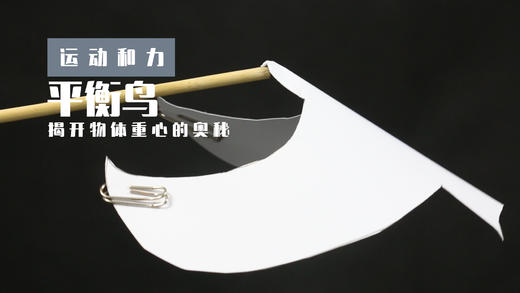 Lv.3 第2节课【平衡鸟】（学习课件） 商品图0