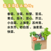 生态菇菜膳食箱（一件包邮） | 绿家自产*Ecological  vegetables | Self-production 商品缩略图3