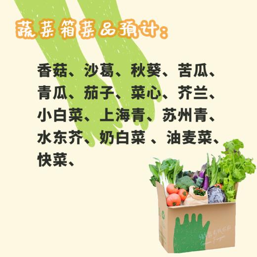 生态菇菜膳食箱（一件包邮） | 绿家自产*Ecological  vegetables | Self-production 商品图3