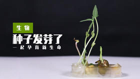 Lv.16 第1节课【种子发芽】（精选原理作业）