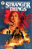 怪奇物语 Stranger Things Kamchatka 商品缩略图0