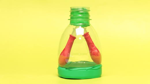 Lv.23 第1节课【肺的呼吸】（精选实验打卡） 商品图0