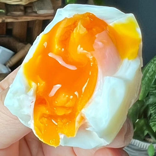 晋龙可生食鸡蛋 基地直发 顺丰包邮 商品图7