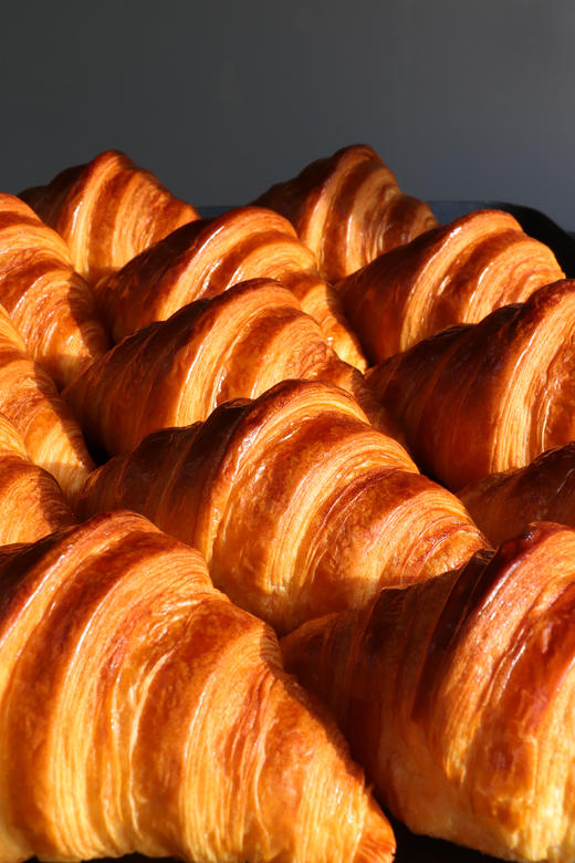 经典可颂 商品图2