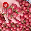 【鲜嫩爽口！小番茄】圣女果新鲜小番茄5斤水果当季蔬菜生吃自然熟3西红柿千禧山东整箱包邮-觅食坊 商品缩略图2
