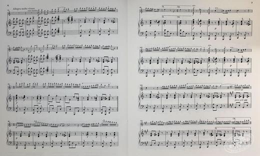 【中商原版】Sarasate Gypsy Airs for Violin and Piano 进口艺术 萨拉萨蒂 吉普赛之歌 流浪者之歌 小提琴和钢琴 商品图6