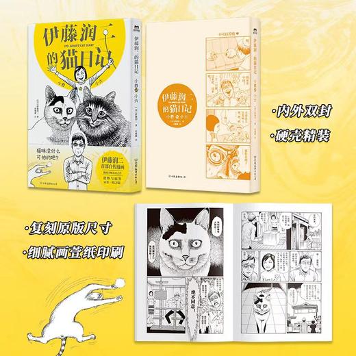 伊藤润二的猫日记：小四和小六 （伊藤润二首自传漫画，恐怖漫画大师绘制的搞笑猫咪漫画！ ） 商品图3