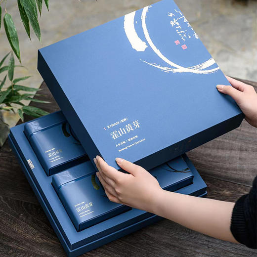 徽汇 霍山黄芽礼盒特级黄芽（绿色认证）400g茶叶 新老包装随机发货 叶底嫩黄明亮 黄绿清明 48小时发货 商品图0