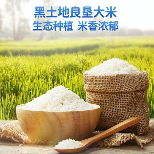 【任选专区】【6月+】婴幼儿泡芙条/海苔味/42g 商品图1