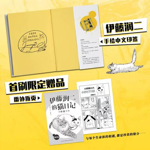 伊藤润二的猫日记：小四和小六 （伊藤润二首自传漫画，恐怖漫画大师绘制的搞笑猫咪漫画！ ） 商品图2
