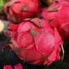 【精选大果！甜蜜多汁】红心火龙果，当季新鲜红肉水果整箱火龙果大果5斤包邮10甜金都一号整箱包邮现摘鲜果味甜薄皮果-觅食坊 商品缩略图2