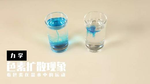 Lv.13 第4节课【色素扩散现象】（精选实验打卡） 商品图0