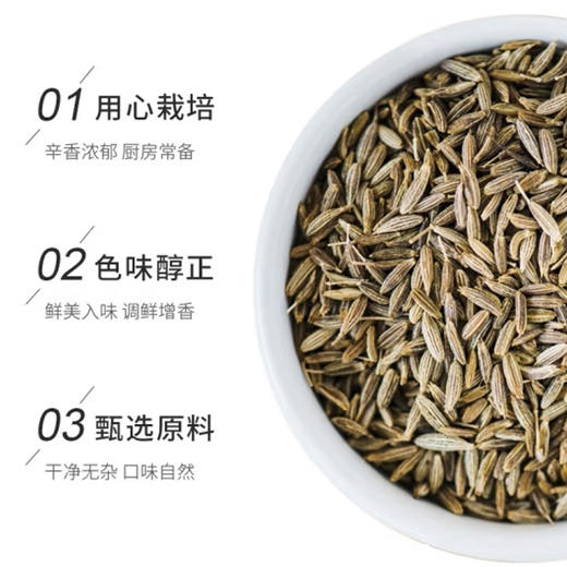 吉得利孜然粉【38g】 商品图2