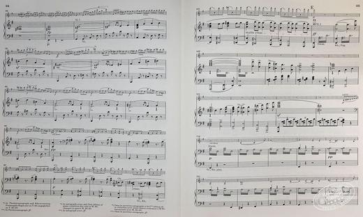 【中商原版】亨乐原版 布鲁赫g小调小提琴协奏曲op26 Bruch Violinkonzert g-moll op.26 KA 小提琴和钢琴 HN708 进口艺术 商品图7