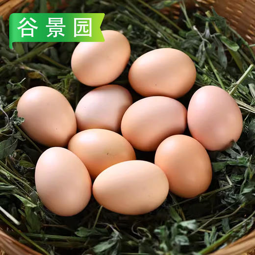 【会员专享】优选鲜鸡蛋 3.5斤/板 商品图4