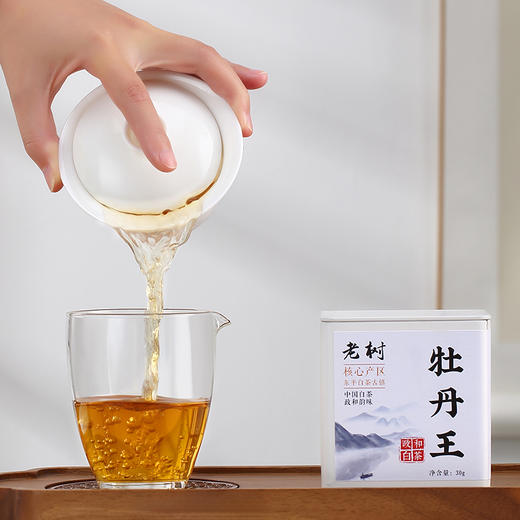 添寿白茶丨老树牡丹王 政和白茶 2023年 特级 30g/250g 自饮收藏推荐   商品图0