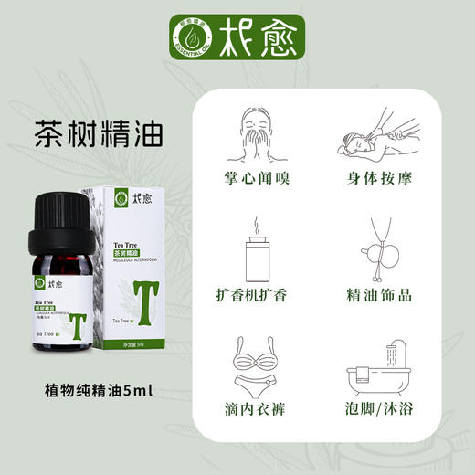 【柅愈】茶树纯精油5ml 澳洲原产茶树精油 单方纯精油 扩香/熏香/调油 商品图2