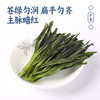 徽汇 太平猴魁礼盒特级绿茶（猴坑村产区）500g茶叶 新老包装随机发货 清香如兰 鲜爽醇厚  48小时发货 商品缩略图2