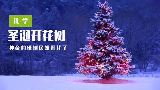 Lv.17 第9节课【圣诞开花树】（学习课件） 商品图0