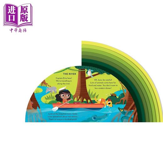 【中商原版】Explore the Rainforest 探索雨林 英文原版进口图书 纸板书 低幼儿童绘本 知识科普图画书 商品图2