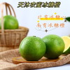 【新品】天沐冰糖橙 商品缩略图0