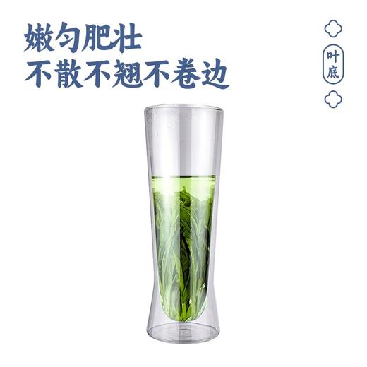 徽汇 太平猴魁特级绿茶（双坑产区）100g单罐/200g双罐茶叶 新老包装随机发货 清香如兰 鲜爽回甘 48小时发货 商品图3