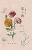 花之语 : 英国古典版画里的花草秘事 商品缩略图0