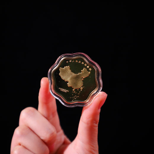 九龙荣耀版图纪念章 中国地图出版社地图权威授权 九龙代表中国九个景点 隐形荧光防伪 商品图7